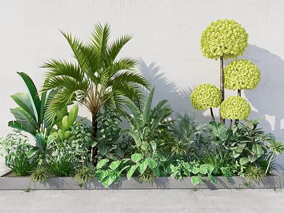 Green Plants Featuring Palm Tree Banana Leaves Round Shrubs Low Greenery White Wall Gray Planter 3d model