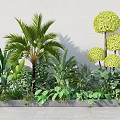 Green Plants Featuring Palm Tree Banana Leaves Round Shrubs Low Greenery White Wall Gray Planter