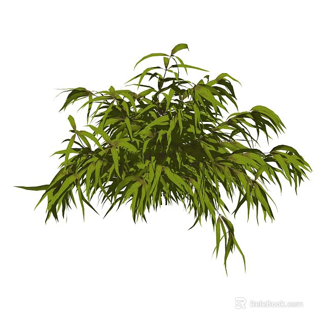 Lush Green Shrub with Dense Foliage and Drooping Vibrant Leaves 3d model 
