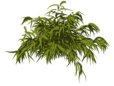 Lush Green Shrub with Dense Foliage and Drooping Vibrant Leaves 3d model