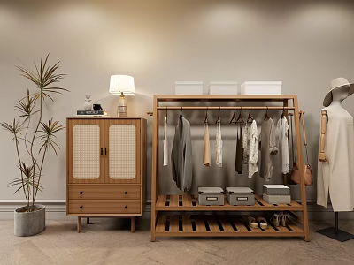 Wooden Clothes Rack With Hanging Clothes Side Cabinet Table Lamp Potted Plant And Storage Boxes 3d model