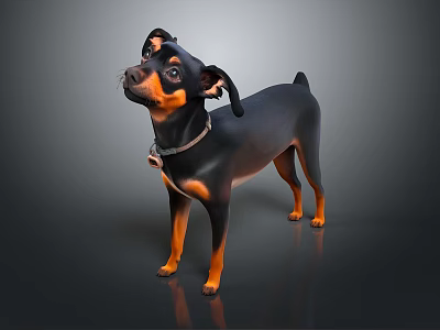 Small Black and Tan Dog Standing with Collar on Dark Background 3d model