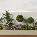 Lush Plant Combination with Round Shrubs Flowering Plants and Vines in Long Rectangular Planter