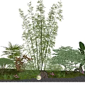 Lush Green Shrubs Garden Landscape With Bamboo Palm Plants Stones And Small Lights