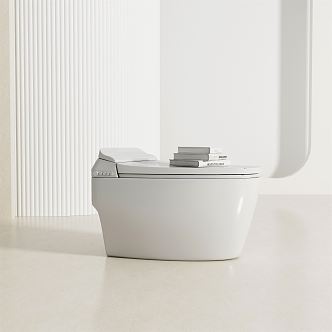 Modern toilet 3d model