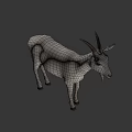 Realistic White Goat With Curved Horns And Beard Standing On Neutral Background