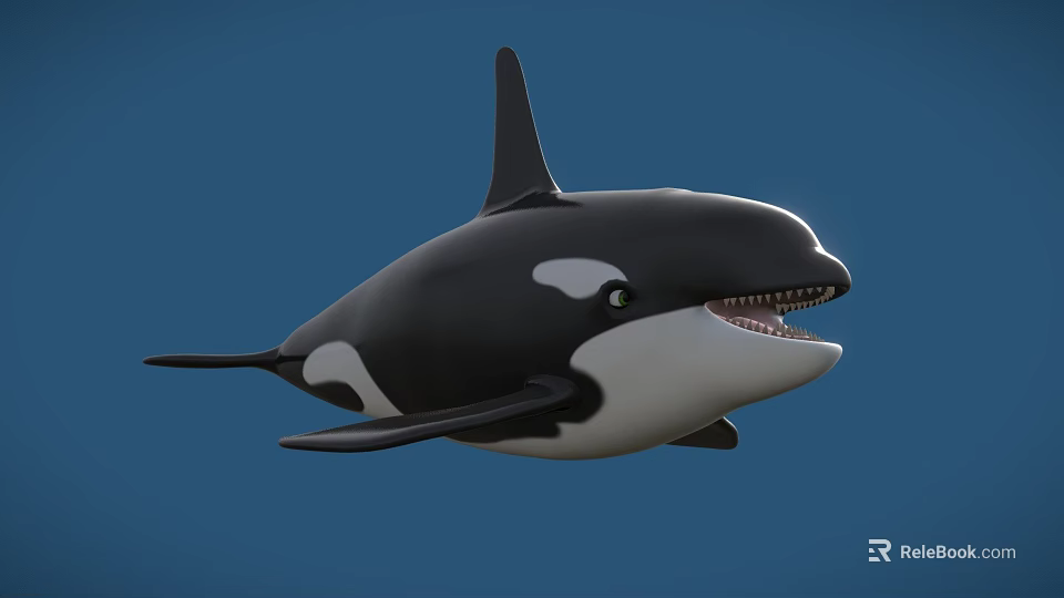 Realistic Black And White Orca Swimming In Blue Background 3d model 