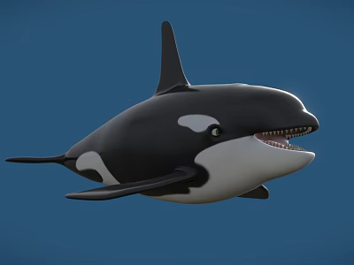 Realistic Black And White Orca Swimming In Blue Background 3d model