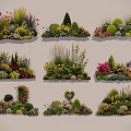 Diverse Flower and Plant Arrangements with Shaped Greenery and Colorful Blooms