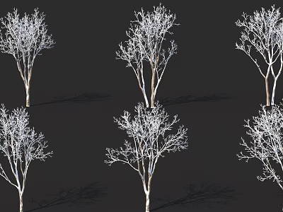 Multiple Leafless Arbor Trees With White Branches And Dark Background Shadows 3d model