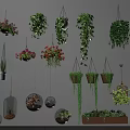 Indoor Hanging Garden Decor With Diverse Planters Trailing Vines And Greenery