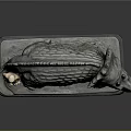 Miniature Human Figure Standing By Triceratops Prorsus Marsh Model On Base With Nameplate