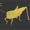 Modern grasshopper insect cartoon locust 3d model