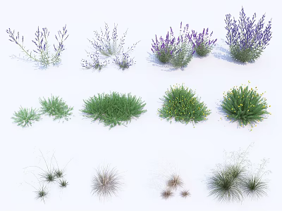 Various Decorative Garden Plants Including Lavender Grasses And Yellow Flowers 3d model