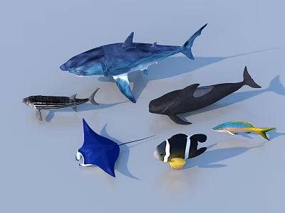Fish Freshwater Fish Sea Fish Animal Game Animal 3d model