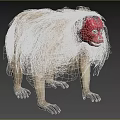 Gray White Fur Monkey With Red Face Standing On Grass Near Green Plants And Dirt Path