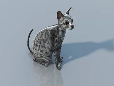 Spotted Reptile Lizard Sitting Calmly On Smooth Shiny Surface With Shadow 3d model