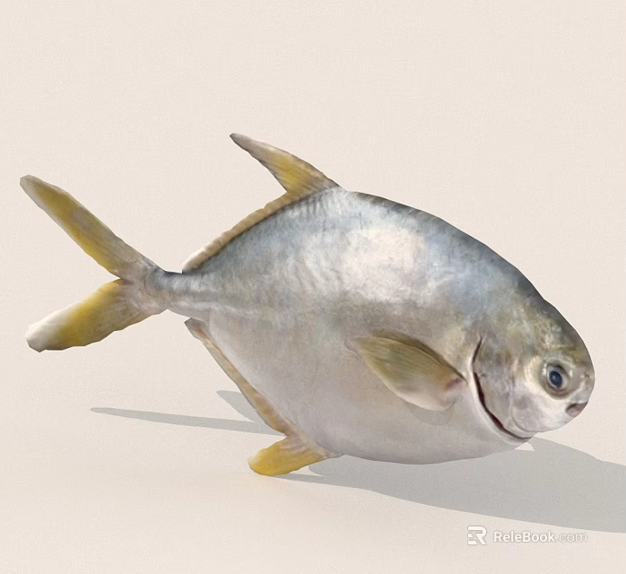Realistic Silver Fish With Yellow Fins And Tail Isolated On White Background 3d model 