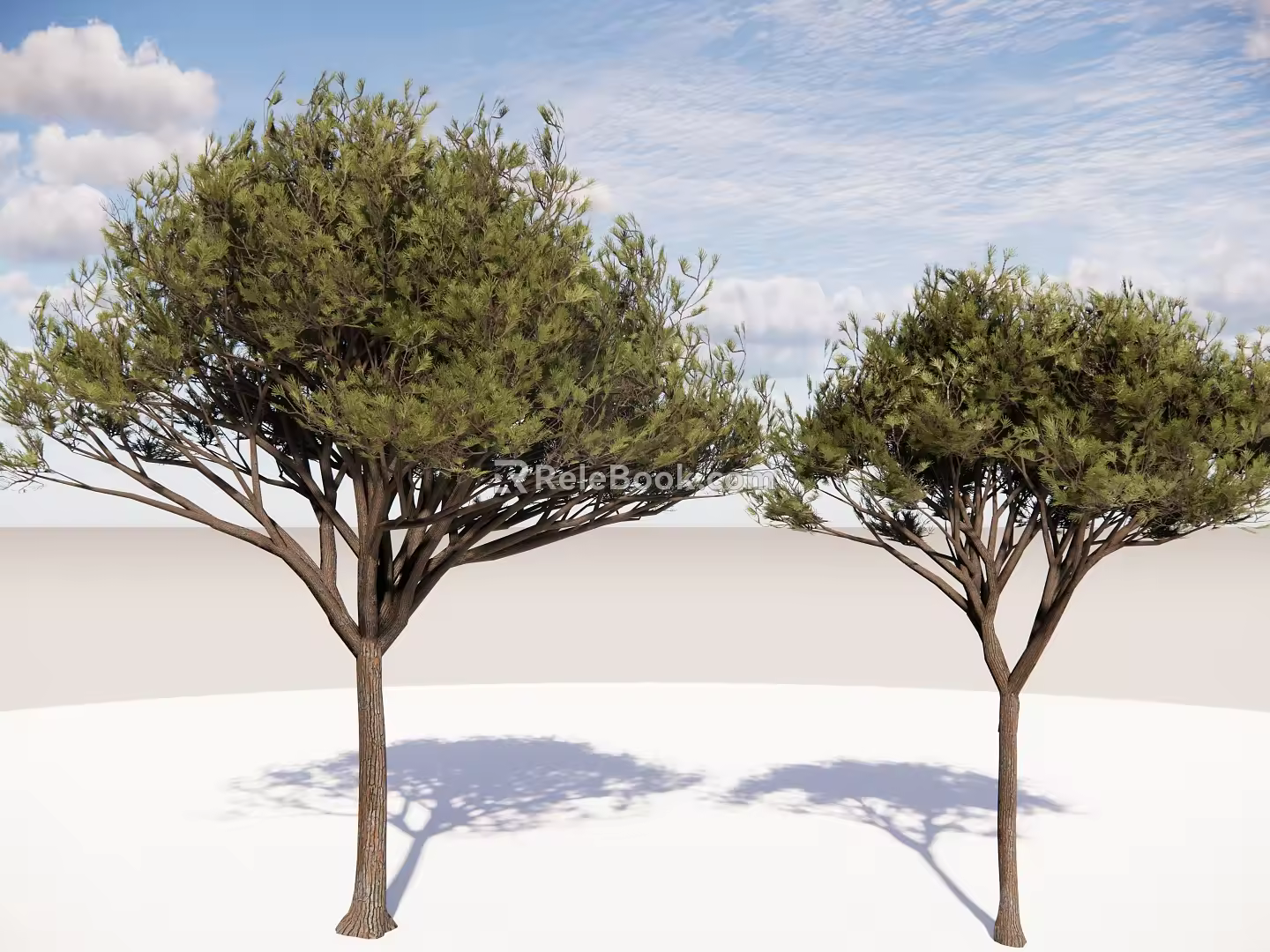 Modern Dwarf Trees Tall Trees Conifers Big Trees Courtyard Trees Landscape Trees Pine and Cypress Trees Small Trees 3d model