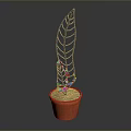 Decorative Indoor Plant With Black Vein Leaf In Orange Pot And Blue Accents