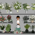 Various Vases With Colorful Flowers And Green Plants Home Decor