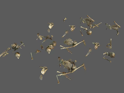 Scattered Animal Limb Bones on Gray Background with Detailed Skeletal Structures 3d model