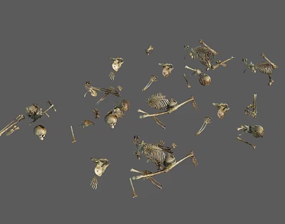 Scattered Animal Limb Bones on Gray Background with Detailed Skeletal Structures 3d model