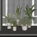 Indoor Potted Plants with Various Leafy Green Foliage in White Ceramic Pots on Window Sill