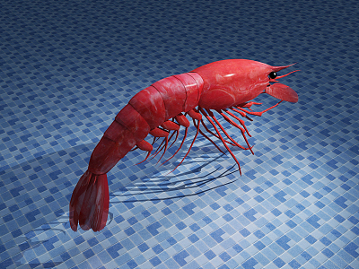 Modern Lobster 3d model