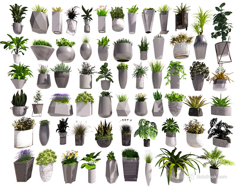 Bonsai Potted Plants With Various Ceramic Concrete And Wooden Planters For Home Decor 3d model 