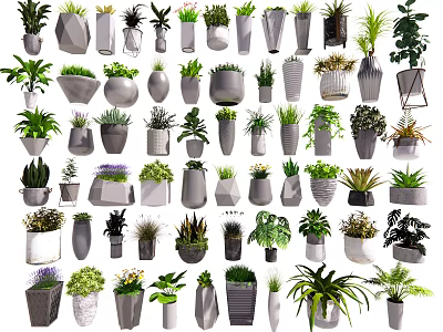 Bonsai Potted Plants With Various Ceramic Concrete And Wooden Planters For Home Decor 3d model
