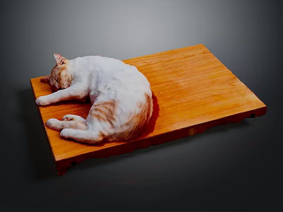 White and orange cat peacefully curled up sleeping on flat wooden tray 3d model