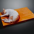 White and orange cat peacefully curled up sleeping on flat wooden tray