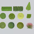Different Types of Garden Shrubs with Round Conical Rectangular Shapes and Green Yellow Red Foliage