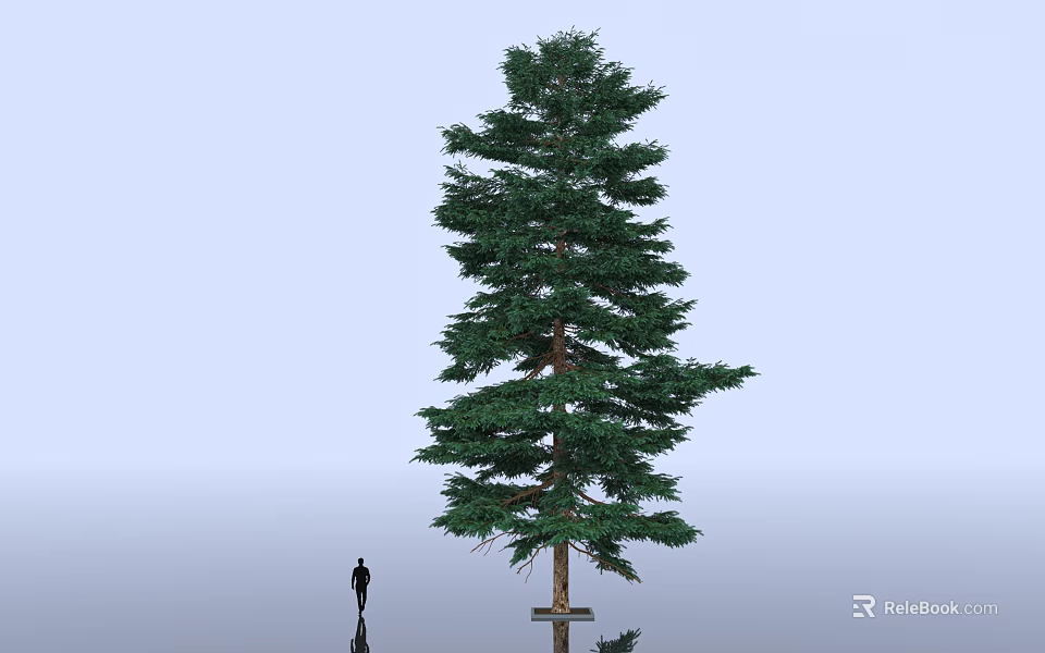 Floral Art Display Featuring Tall Pine Tree Human Silhouette On Light Blue Reflective Ground 3d model 