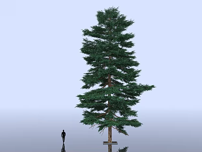 Floral Art Display Featuring Tall Pine Tree Human Silhouette On Light Blue Reflective Ground 3d model