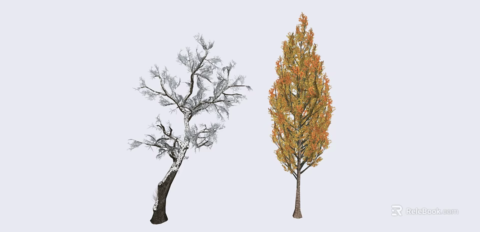 Two Arbor Trees One Leafless and One With Orange Yellow Leaves 3d model 