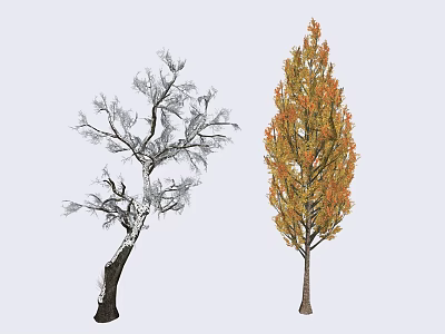 Two Arbor Trees One Leafless and One With Orange Yellow Leaves 3d model