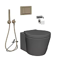 Modern Grey Toilet With Gold Shower Head Toilet Paper Holder And Switch Panel