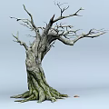Bare Stone Wood Tree With Rough Trunk Exposed Roots And Natural Texture 3d model