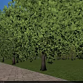 Modern Hospital Building Exterior Design With Main Entrance Parking And Green Landscaping
