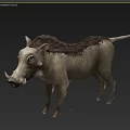 3D Model of Warthog With Detailed Fur And Natural Standing Posture