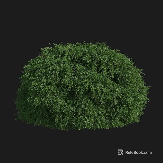 Green Round Shrub With Lush Dense Foliage Isolated on Black Background 3d model 