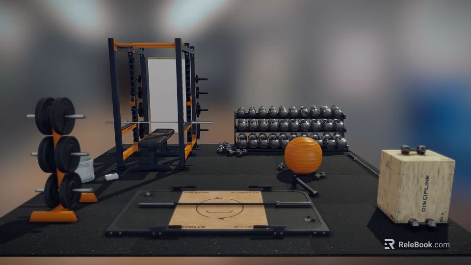 Sports Equipment Setup In Gym With Power Rack Barbells Dumbbells Weight Plates And Exercise Ball 3d model 
