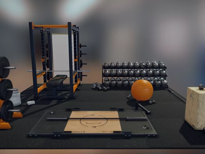 Sports Equipment Setup In Gym With Power Rack Barbells Dumbbells Weight Plates And Exercise Ball 3d model