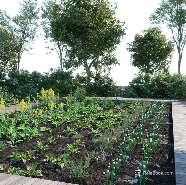 Garden Landscape Featuring Vegetable Garden With Surrounding Trees And Neatly Planted Plants Along Wooden Pathway 3d model 