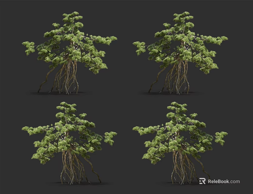 Lush Green Arbor Trees With Dense Foliage And Exposed Roots 3d model