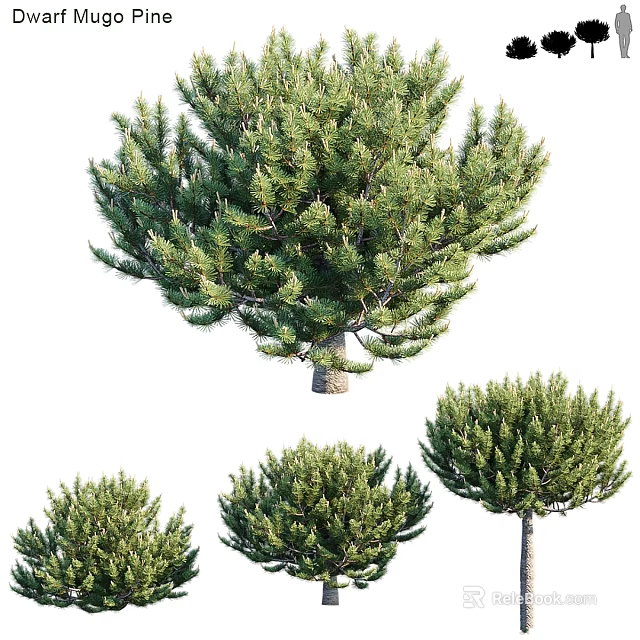 Green Pine Tree Decorative Ornament Set with Various Sizes for Home Decor 3d model 
