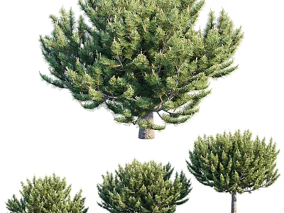 Green Pine Tree Decorative Ornament Set with Various Sizes for Home Decor 3d model
