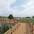 Scenic Garden Landscape With Wooden Boardwalk Sunflower Field And Walking Visitors